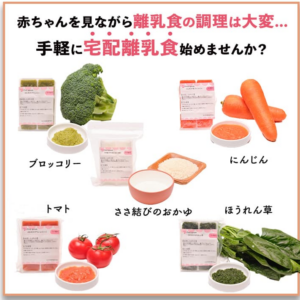 単品-】はじめての離乳食Aセット（5～6ヶ月）-離乳食-幼児食の宅配ならファーストスプーン-03-09-2026_10_57_PM