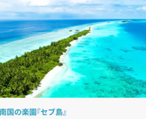 海外特集一覧-–-TRAVEL-WEST-03-08-2026_02_37_PM 1